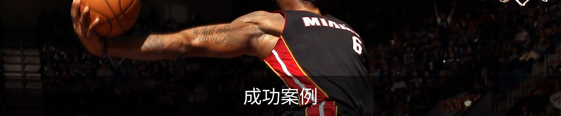 成功案例